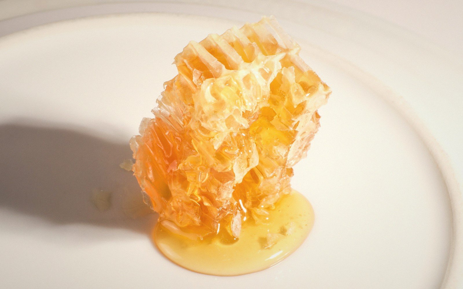Clotted cream and honey (bal kaymak) on a plate
